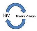 Herpes A.jpg